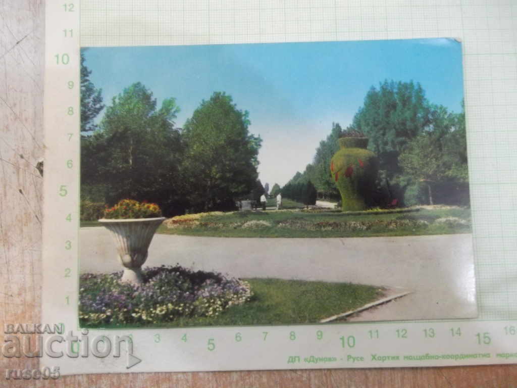 RUSE - Youth Park Card