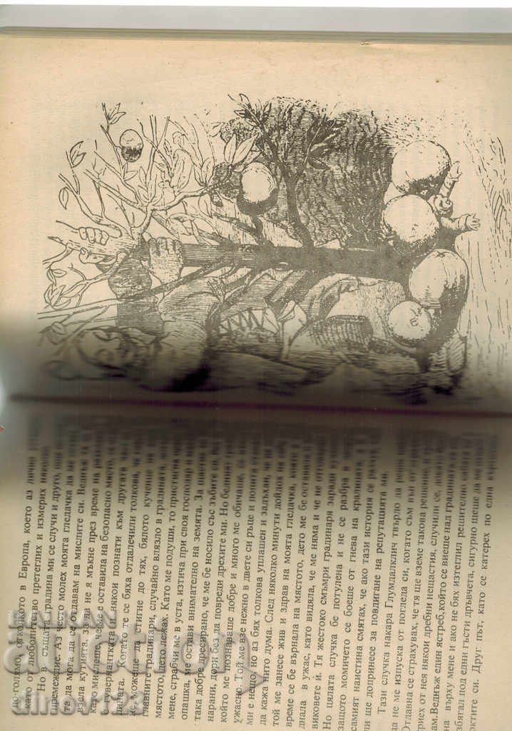 Auction GILIVER'S JOURNEY - JONATAN SWIFT Auction GILIVER'S JOURNEY - JONATAN SWIFT