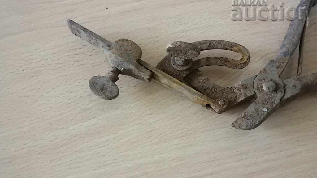 old primitive pliers - 5 old primitive pliers - 5