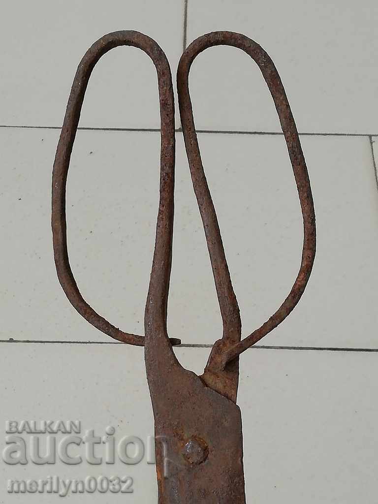 Delivery of Old hand forged scissors, wrought iron Delivery of Old hand forged scissors, wrought iron