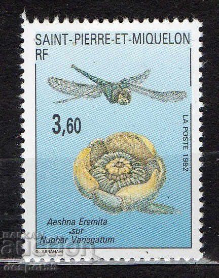1992. Saint Pierre și Miquelon (Fr). Plante și insecte.