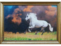 Horse, framed picture