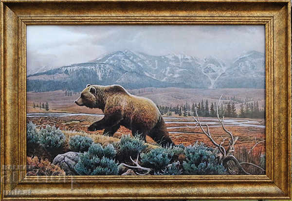 Bear, picture for hunters
