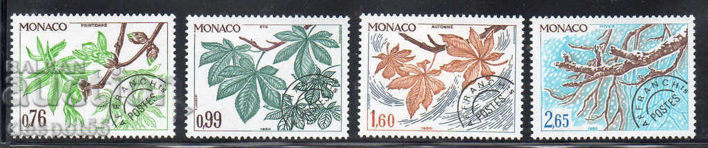 1980. Monaco. The four seasons of horse chestnut - rean.
