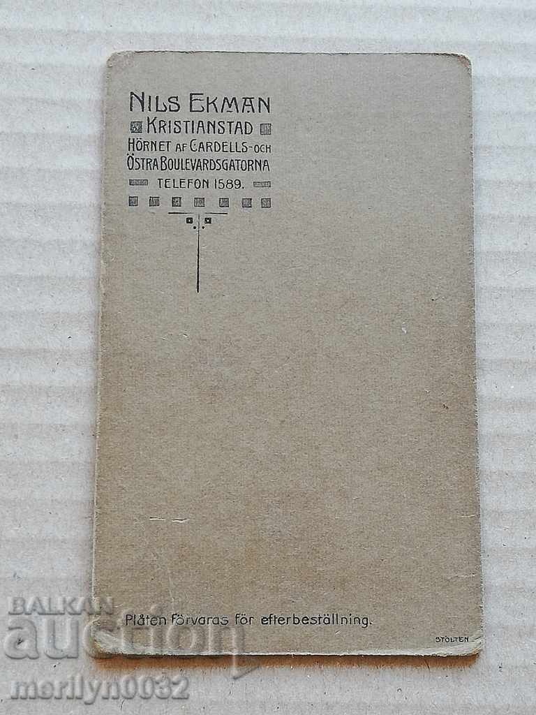 Picture of a Bulgarian cartoon shot in Sweden in the 20th century - 5