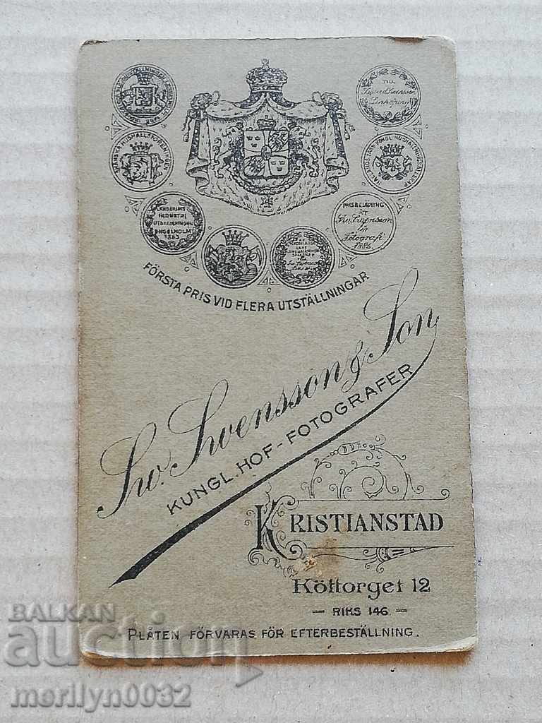 Picture of a Bulgarian cartoon shot in Sweden in the 20th century - 5 Picture of a Bulgarian cartoon shot in Sweden in the 20th century - 5