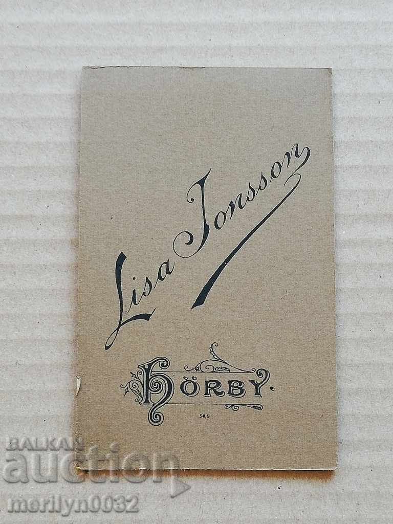 Picture of a Bulgarian cartoon shot in Sweden in the 20th century - 5 Picture of a Bulgarian cartoon shot in Sweden in the 20th century - 5