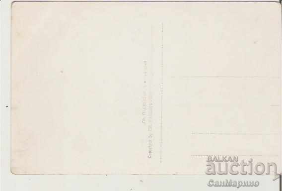 Map Bulgaria Kostenets General view * with price 2.20 BGN | € 1.12 Map Bulgaria Kostenets General view * with price 2.20 BGN | € 1.12