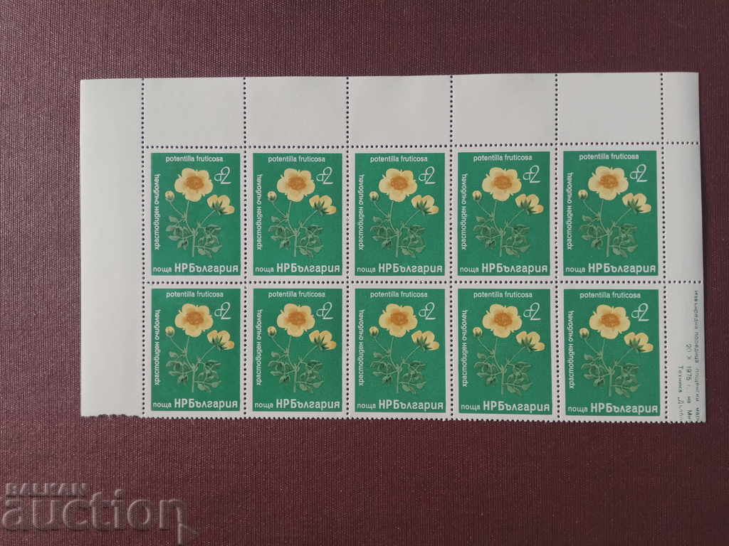 2 stotinki 1975 Bulgaria 2 stotinki 1975 Bulgaria