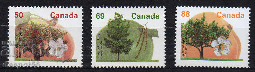 1994. Canada. Pomi fructiferi.