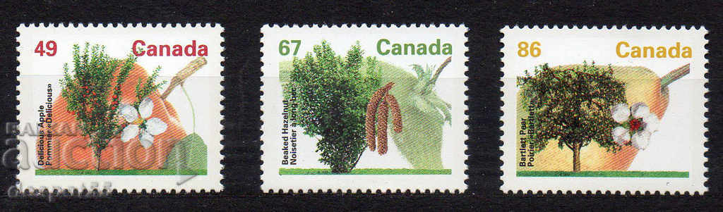 1992. Canada. Pomi fructiferi.