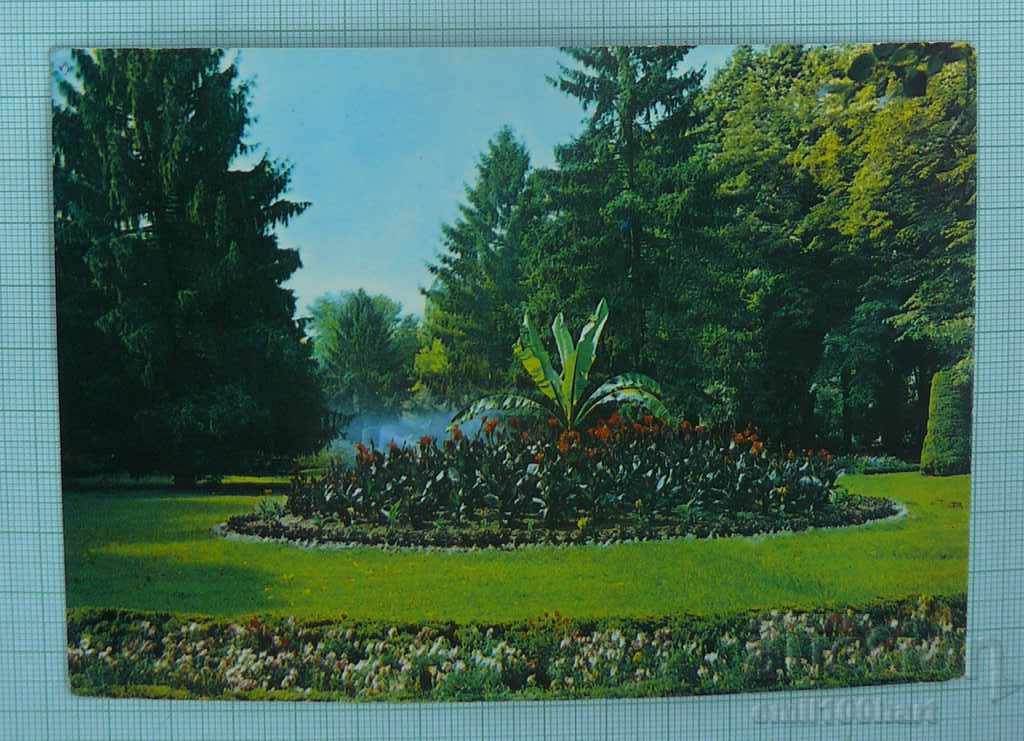 Postcard - Vidin Park