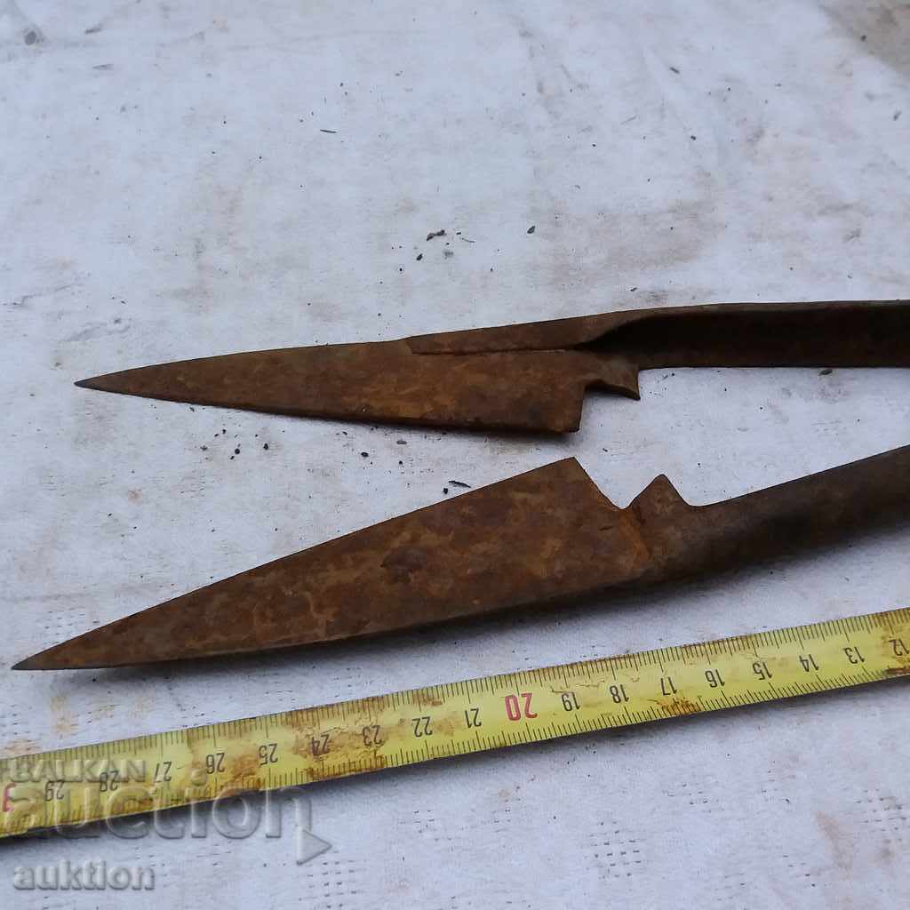 Δημοπρασία ΑΓΡΙΝΑ ΑΓΡΙΑ ΑΛΥΣΙΔΑ, ΑΡΙΣΤΗ Δημοπρασία ΑΓΡΙΝΑ ΑΓΡΙΑ ΑΛΥΣΙΔΑ, ΑΡΙΣΤΗ