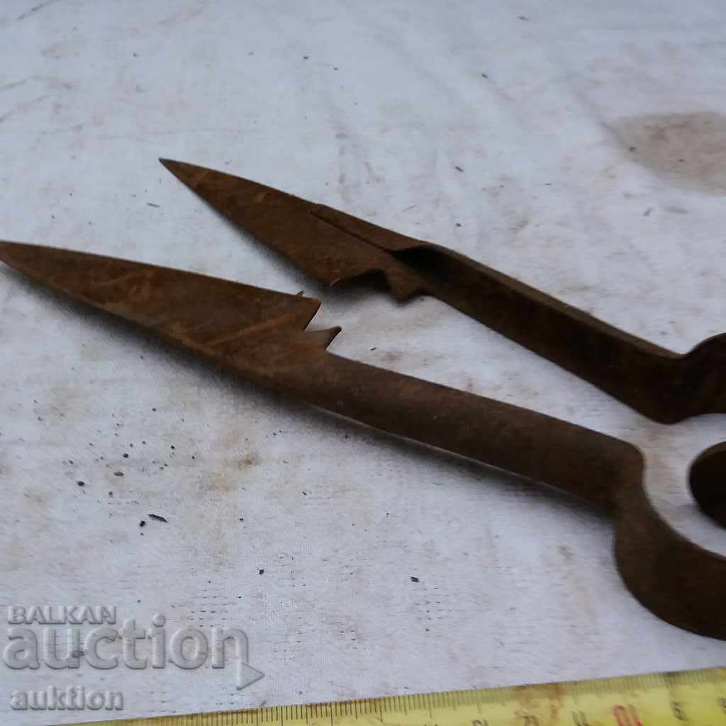 ΑΓΡΙΝΑ ΑΓΡΙΑ ΑΛΥΣΙΔΑ, ΑΡΙΣΤΗ - 5 ΑΓΡΙΝΑ ΑΓΡΙΑ ΑΛΥΣΙΔΑ, ΑΡΙΣΤΗ - 5