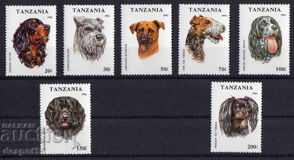 1993. Tanzania. Câini.