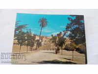 Postcard Algeria - Laghouat