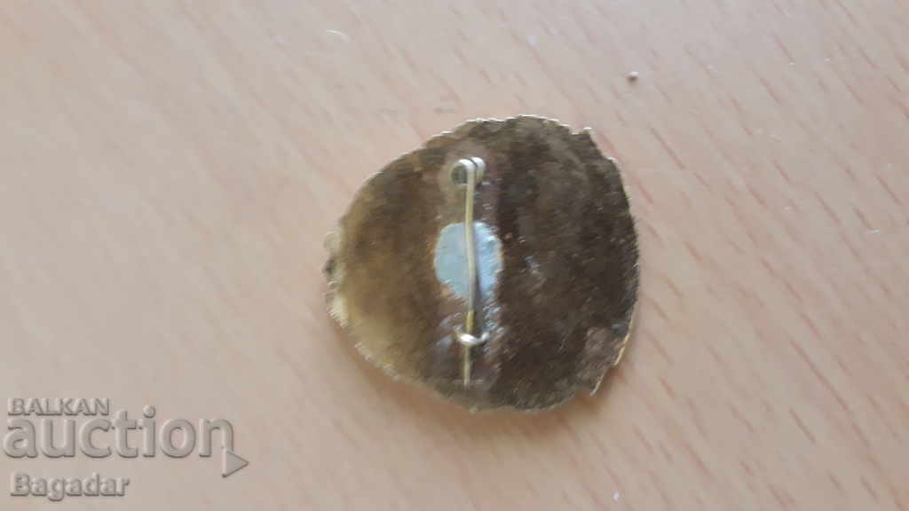 Army sign 20 years Border troop badge with price 30.00 BGN | € 15.34