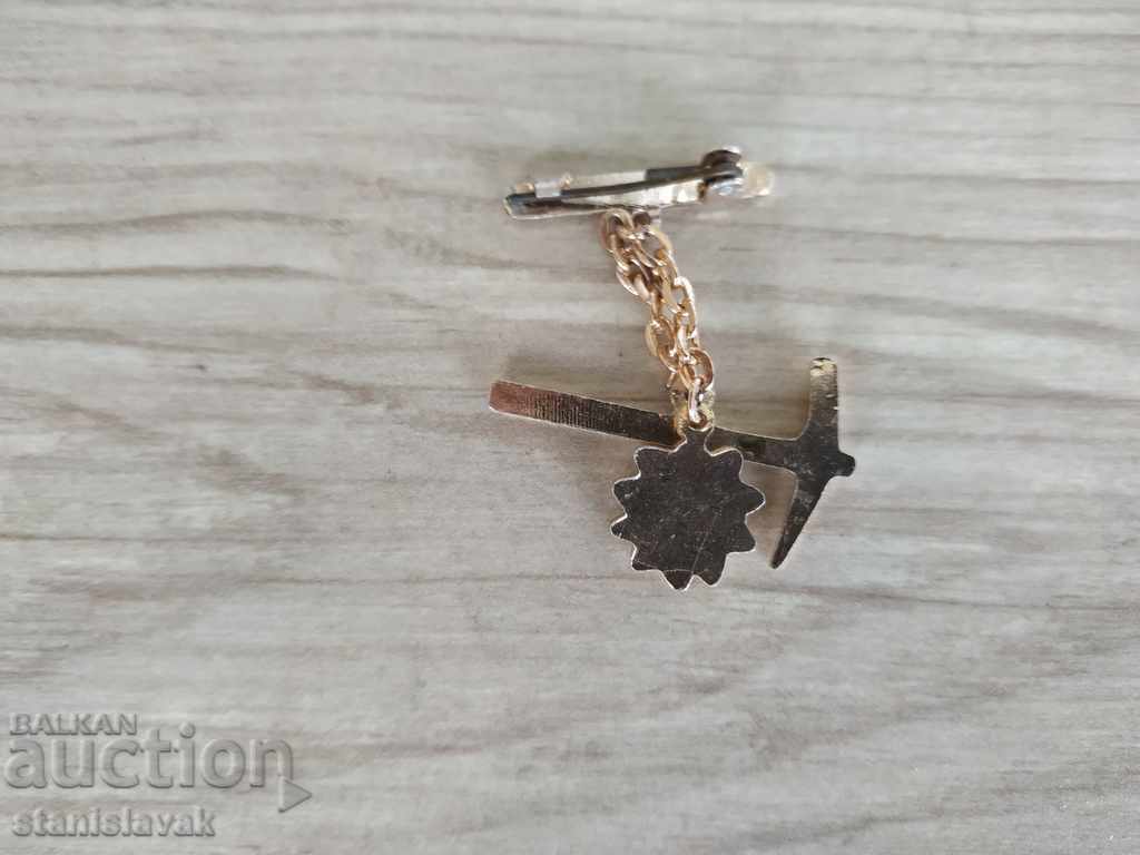 Badge with price 6.00 BGN | € 3.07