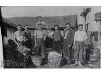 Gradinarii BASKET tricot COSUL PANER OLD FOTO
