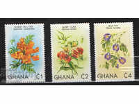 1982. Γκάνα. Λουλούδια.