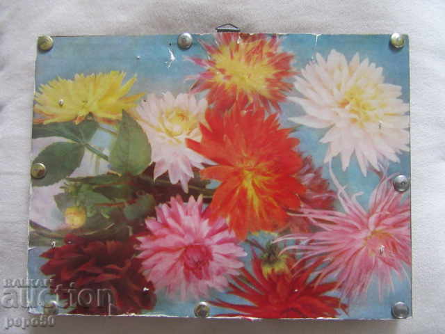 Delivery of CANCER ON PANAMA - THE SENCES / 22,5 x 16,5 cm / Delivery of CANCER ON PANAMA - THE SENCES / 22,5 x 16,5 cm /