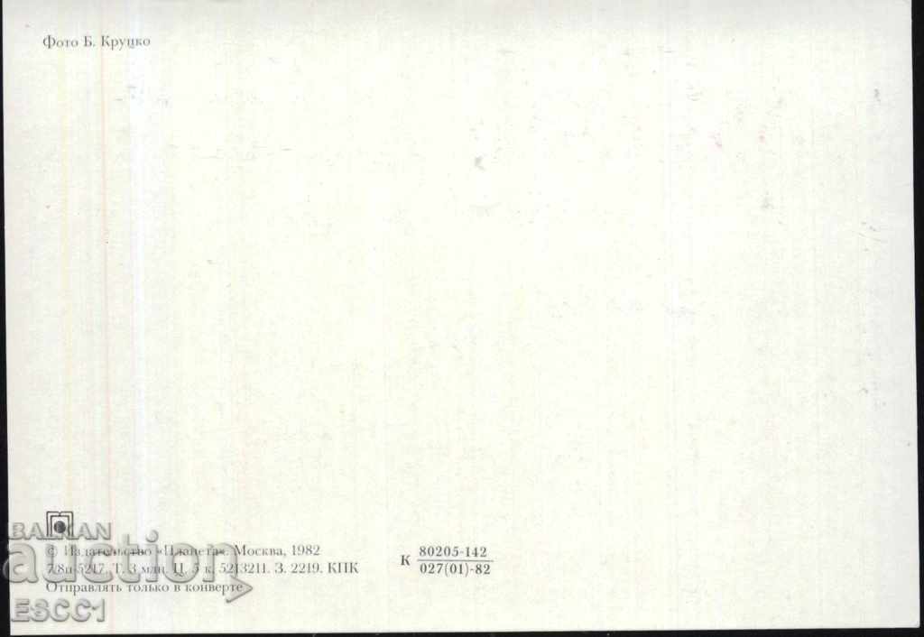 Felicitări flori 1982 din URSS cu preț 1.50 BGN | € 0.77 Felicitări flori 1982 din URSS cu preț 1.50 BGN | € 0.77