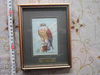 Imagine originală Falcon veche pe mătase țesută