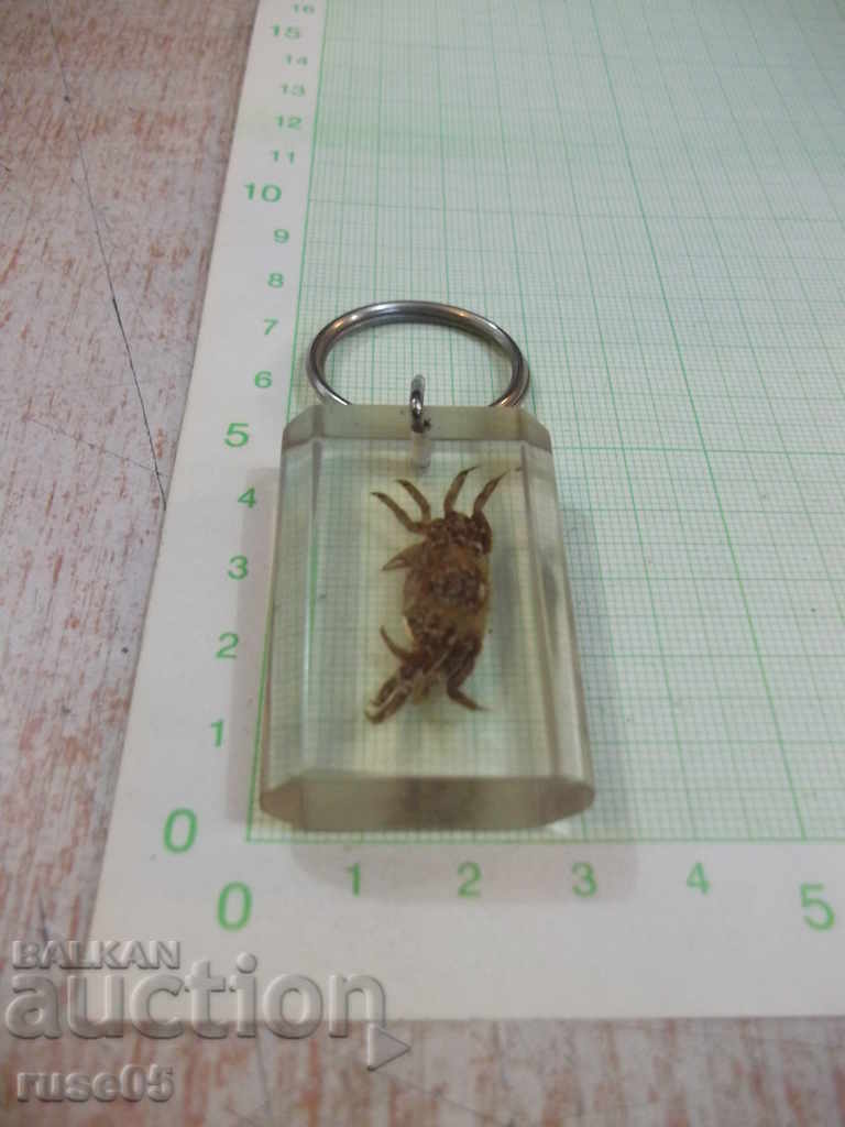 Keyholder - 25 with price 5.00 BGN | € 2.56 Keyholder - 25 with price 5.00 BGN | € 2.56