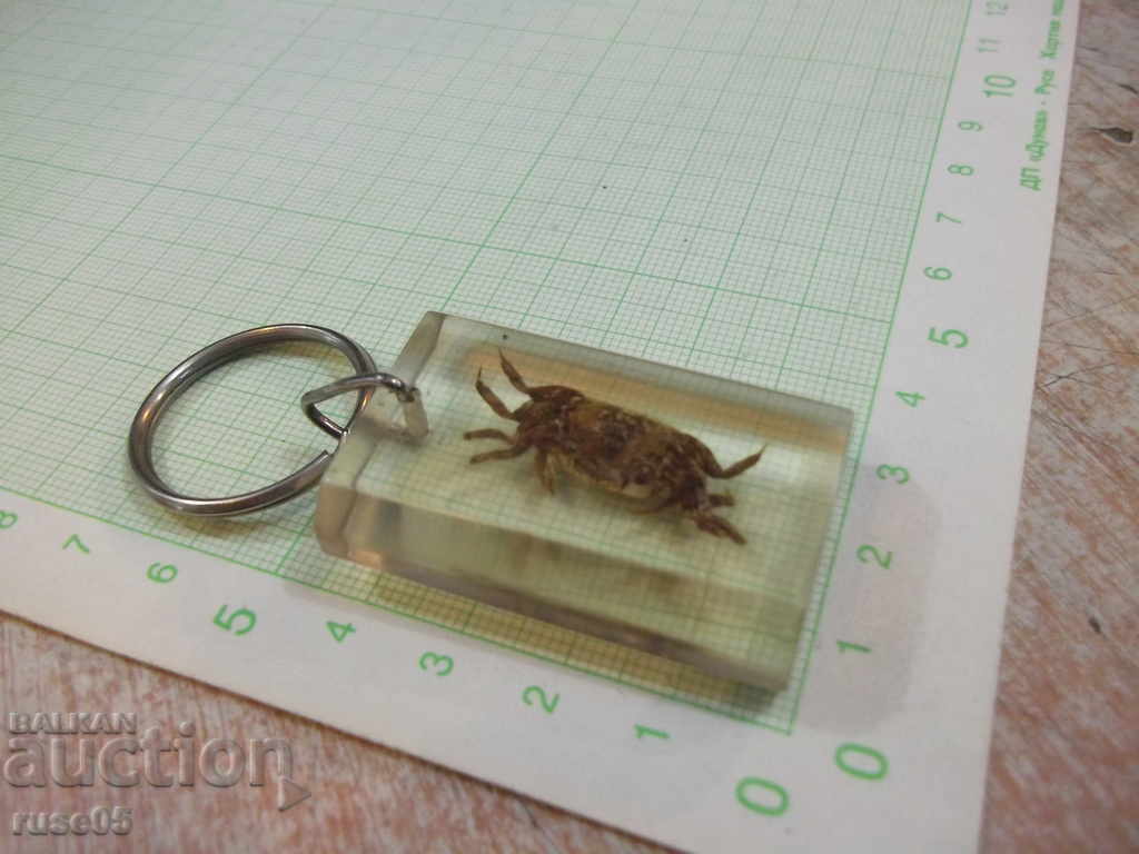 Auction Keyholder - 25 Auction Keyholder - 25