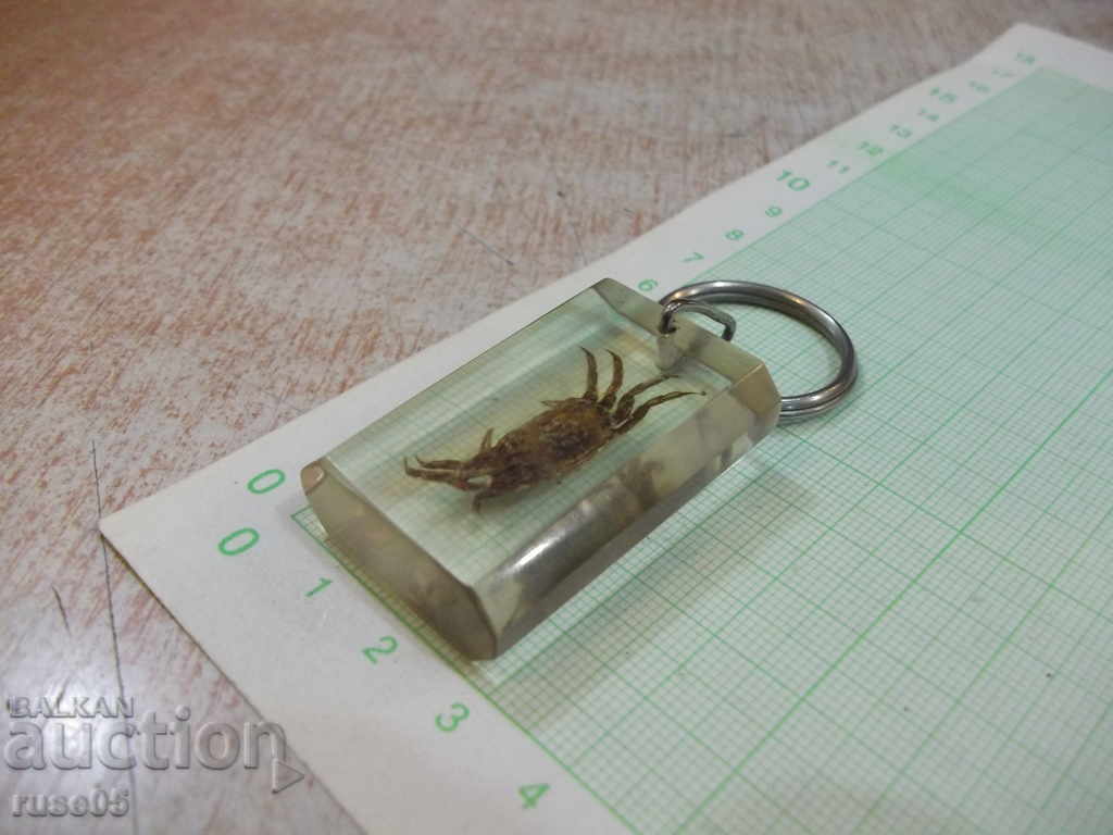 Delivery of Keyholder - 25 Delivery of Keyholder - 25