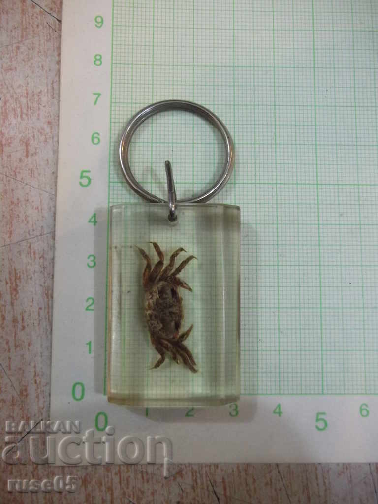 Keyholder - 25 - 5 Keyholder - 25 - 5