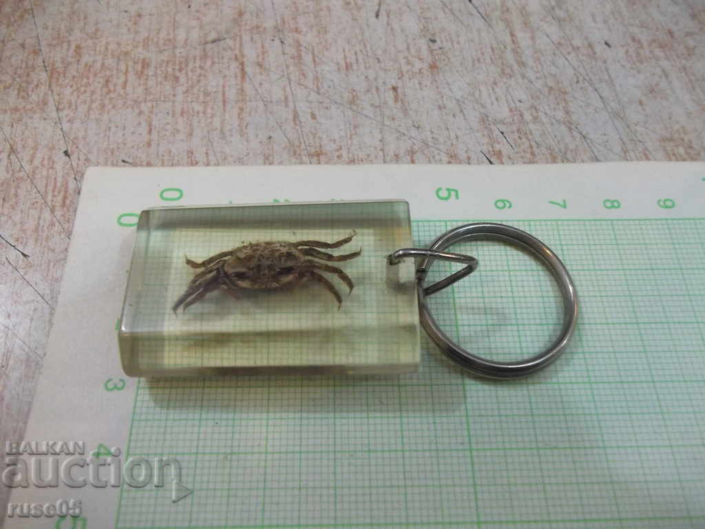 Keyholder - 25 - 6 Keyholder - 25 - 6