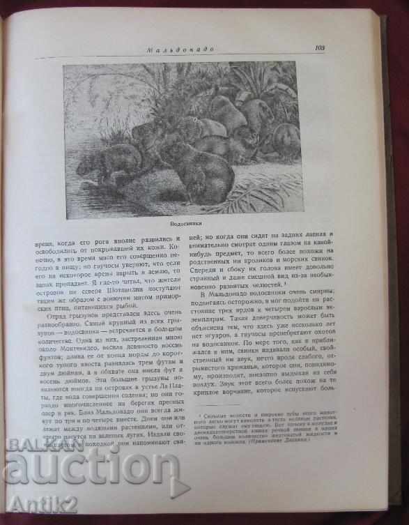 1936years. The Book of Shipwreck Bigel - Charles Darwin with price 144.00 BGN | € 73.63 1936years. The Book of Shipwreck Bigel - Charles Darwin with price 144.00 BGN | € 73.63