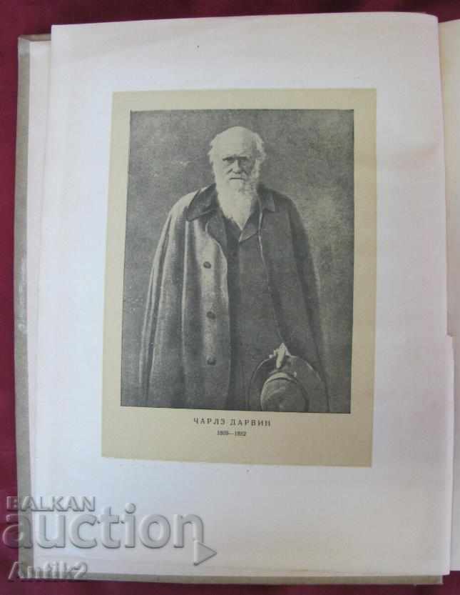 1936years. The Book of Shipwreck Bigel - Charles Darwin - 6 1936years. The Book of Shipwreck Bigel - Charles Darwin - 6