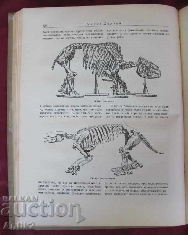 1936years. The Book of Shipwreck Bigel - Charles Darwin - 7 1936years. The Book of Shipwreck Bigel - Charles Darwin - 7