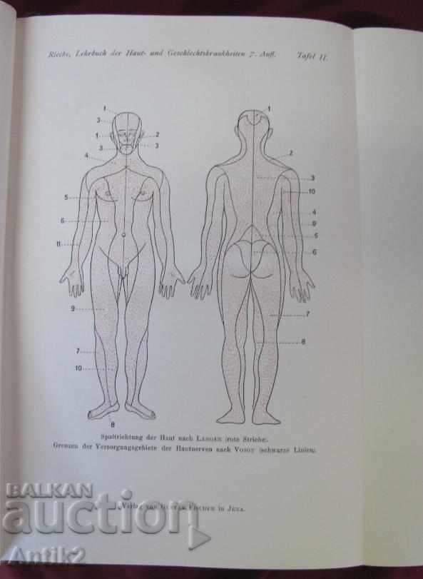Delivery of 1923. Medical Book Germany Very Rare Delivery of 1923. Medical Book Germany Very Rare