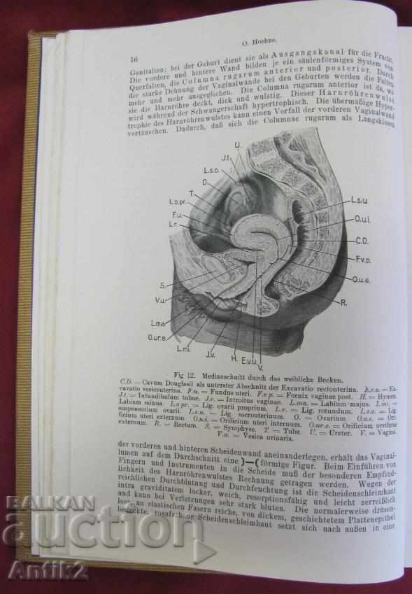 Аукцион 1923год. Медицинска Книга Германия Много Рядка Аукцион 1923год. Медицинска Книга Германия Много Рядка