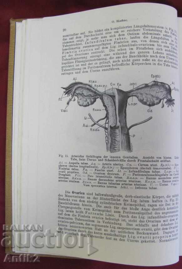 Доставка на 1923год. Медицинска Книга Германия Много Рядка Доставка на 1923год. Медицинска Книга Германия Много Рядка