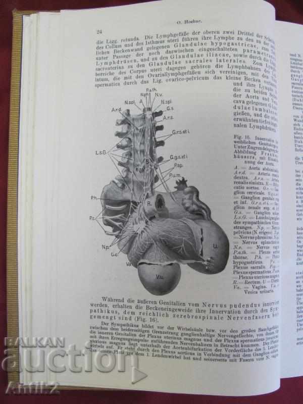 1923год. Медицинска Книга Германия Много Рядка - 5 1923год. Медицинска Книга Германия Много Рядка - 5