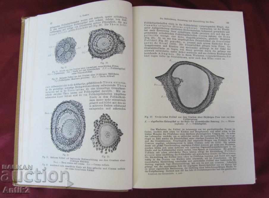 1923год. Медицинска Книга Германия Много Рядка - 6 1923год. Медицинска Книга Германия Много Рядка - 6