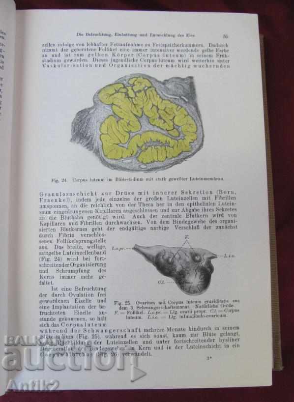 1923год. Медицинска Книга Германия Много Рядка - 7 1923год. Медицинска Книга Германия Много Рядка - 7