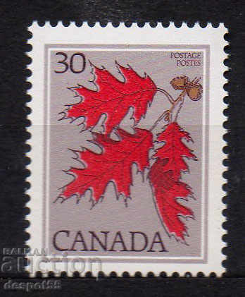 1978. Καναδάς. Υποκαταστήματα δέντρου Quercus rubra.