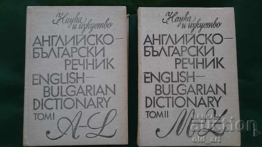 Dicționar englez-român - 2 volume