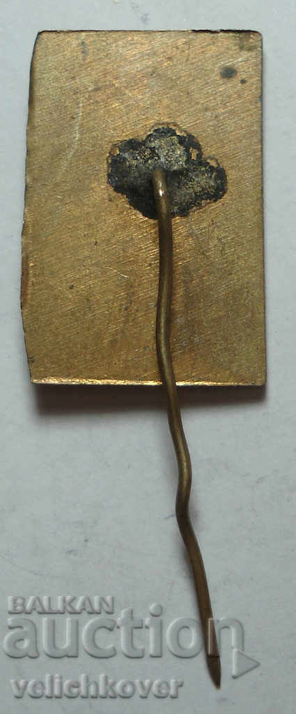 25829 Bulgaria sign with image child partisan Mitko Palauzov with price 3.00 BGN | € 1.53