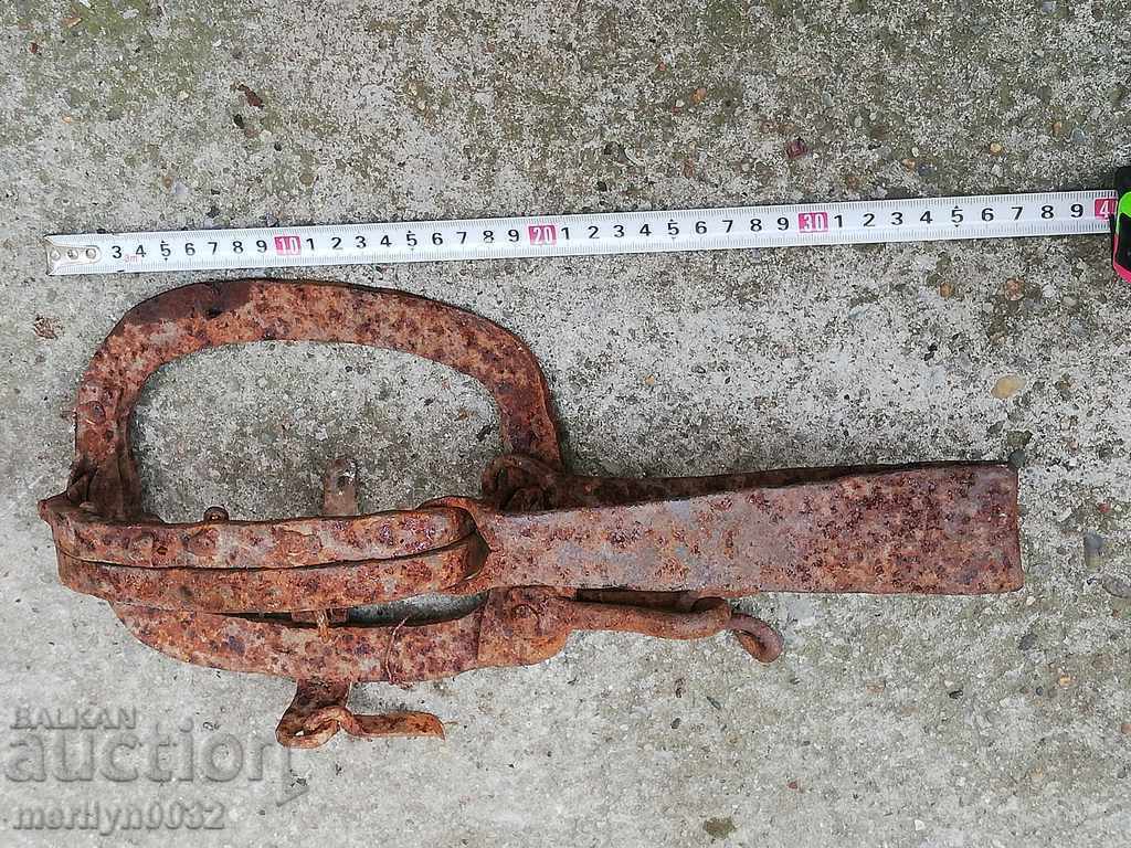 Antique Hand Forged Spike Trap - 19th Century - 5