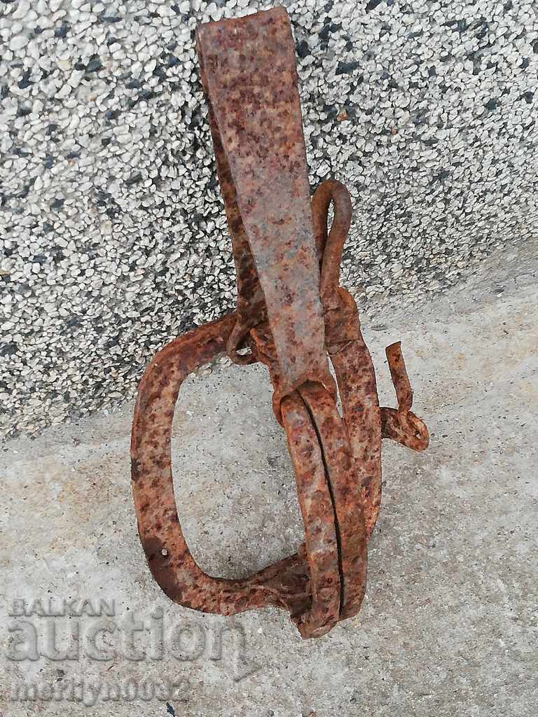 Antique Hand Forged Spike Trap - 19th Century - 7