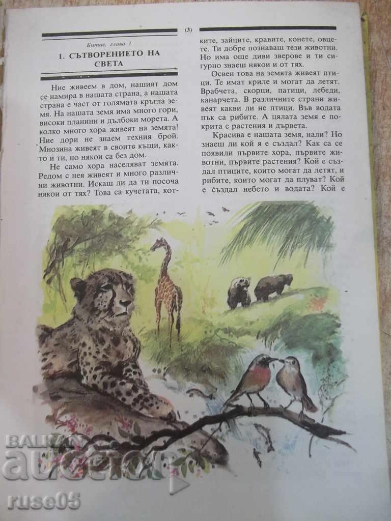 Auction Book Bible for Children - Ed. * Sun - 184 pages Auction Book Bible for Children - Ed. * Sun - 184 pages