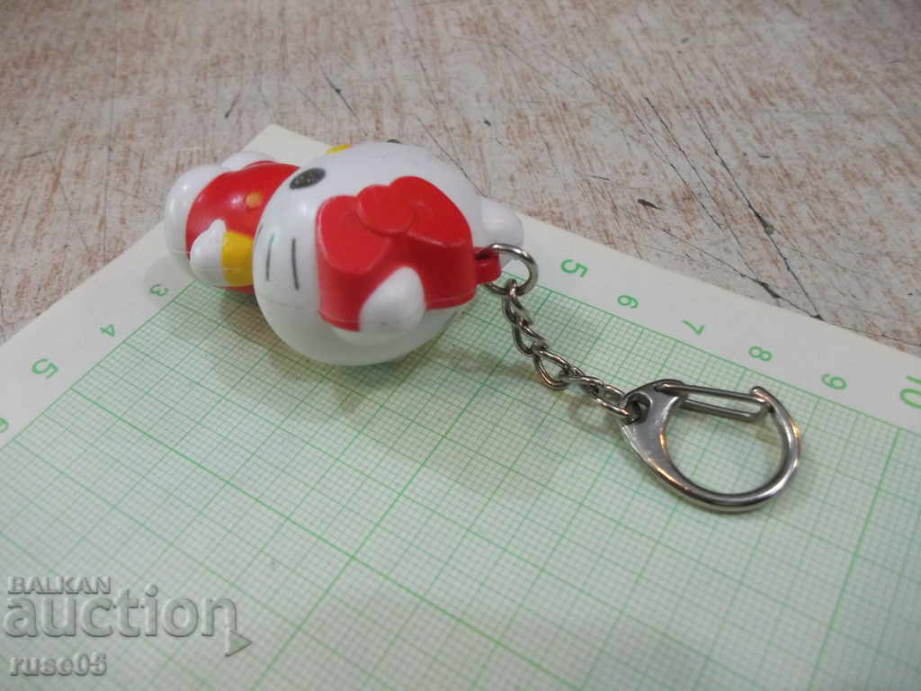 Livrarea Suport pentru cheie - 45