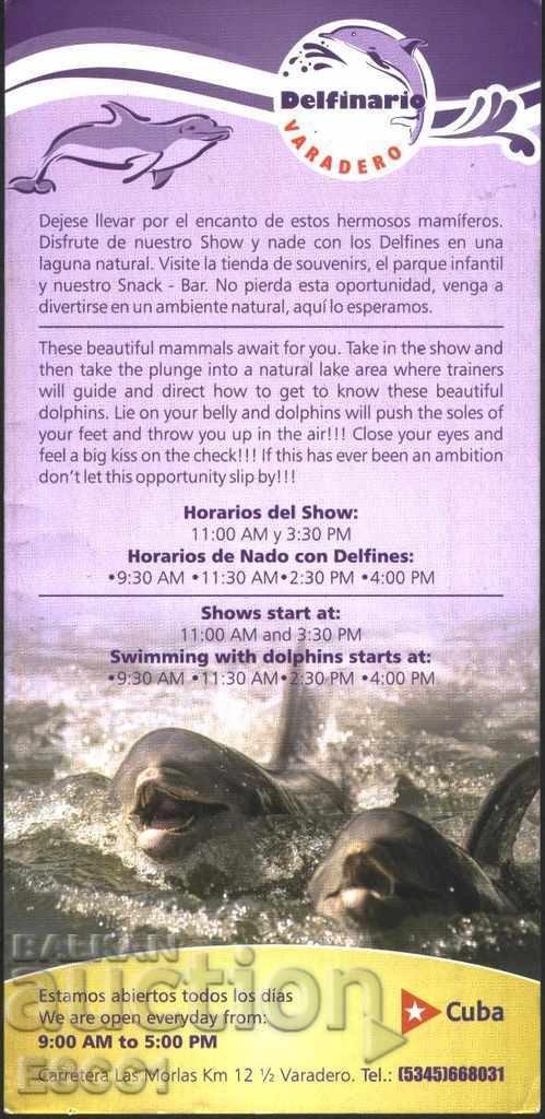 Brochure (flyer) Dolphinarium Dolphins from Cuba with price 1.00 BGN | € 0.51 Brochure (flyer) Dolphinarium Dolphins from Cuba with price 1.00 BGN | € 0.51