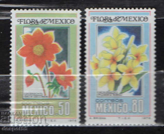 1978. Mexico. Mexican flowers.